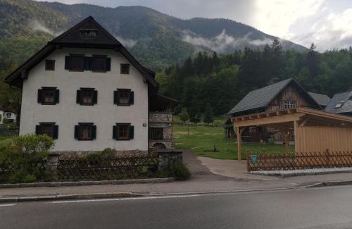 Obertraun Apartment | Apartment Haider 1