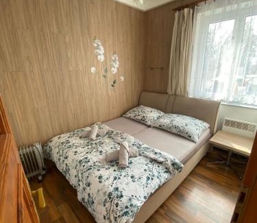 Rudolfov Apartment | Apartment Hlinská