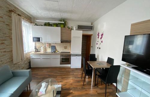 Rudolfov Apartment | Apartment Hlinská