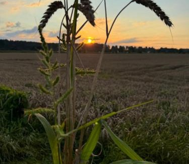 Memmingen Apartment | Apartment Ihm