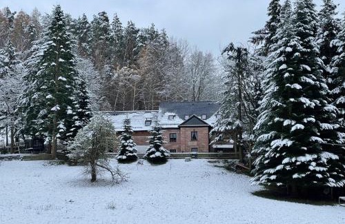 Heles Apartment | Apartment im Wald - mit Schwimmbad!