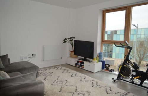 Grangetown Apartment | Apartment in Cardiff