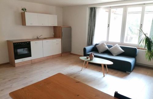 Erlach Apartment | Apartment in Erlach
