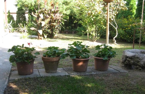 Fonyodliget Apartment | Apartment in Fonyod/Balaton 18601