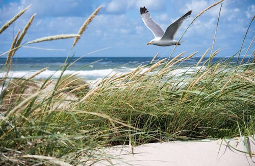Albertstrand Apartment | Apartment in Knokke near the Beach