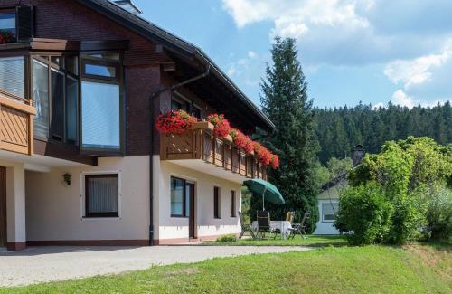 Furtwangen Apartment | Apartment in Neukirch with terrace