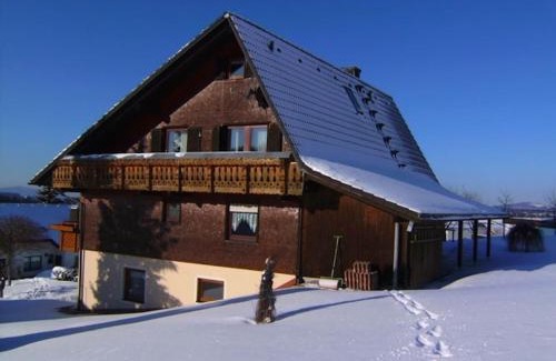 Furtwangen Apartment | Apartment in Neukirch with terrace