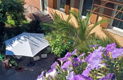 Oberrotweil Apartment | Apartment in Oberrotweil