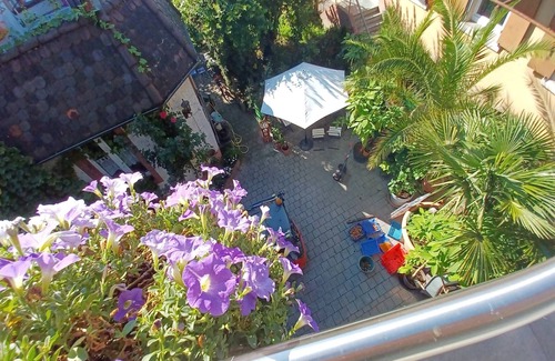 Oberrotweil Apartment | Apartment in Oberrotweil