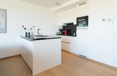 Ostend Apartment | Apartment in Oostende near Beach & Dunes