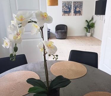 Hjørring Apartment | Apartment In The City With Free Parking