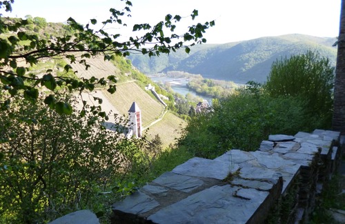 Mainz-Bingen Apartment | Apartment in the historic center of Bacharach, WITHOUT train noise! ground floor