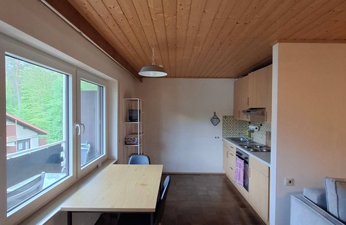 Schontal Apartment | Apartment in the idyllic setting of the biosphere reserve Palatinate Forest