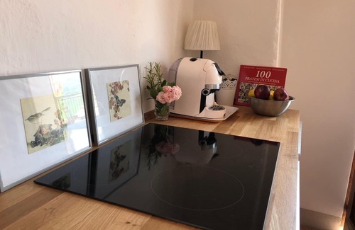Calenzano Apartment | APARTMENT IN VILLA A FEW KM FROM FLORENCE