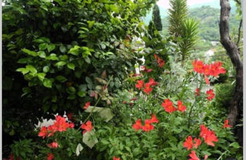 Zelenika Apartment | Apartment in Zelenika, 3-4km close to Herceg Novi. Wi - Fi, Parking place