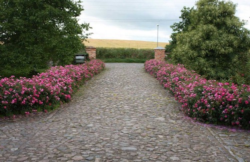 Papendorf Apartment | Apartment IV - Apartments in farmhouse - Property 44365