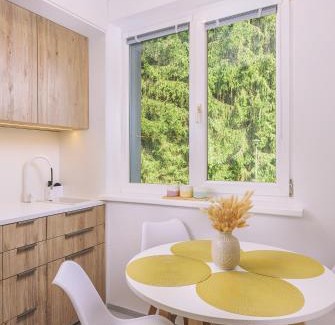 Demanovska Dolina Apartment | Apartment Jasná Lúčky Demänovská Dolina DD97