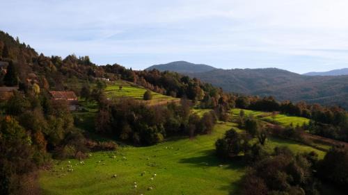 Brod Moravice Apartment | Apartment "Johana"
