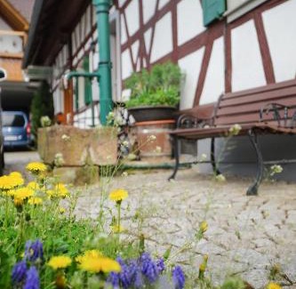 Appenweier Apartment | Apartment Kirschblüte