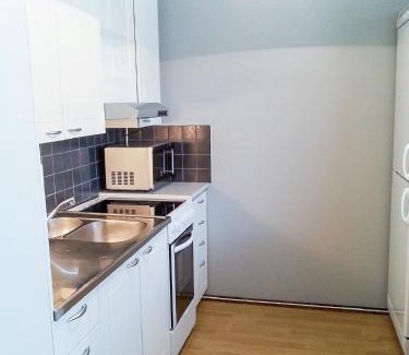 Maenttae-Vilppula Apartment | Apartment Kukkarokivenkatu