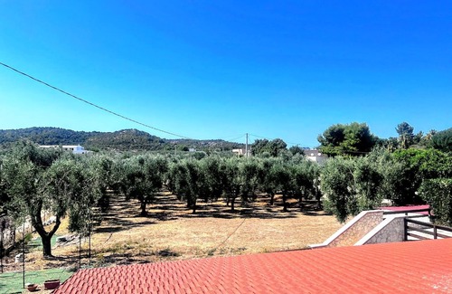 Montincello Apartment | Apartment 'La Mignola - Bilo 2 - Duplicate' with Shared Garden, Wi-Fi and Air Conditioning