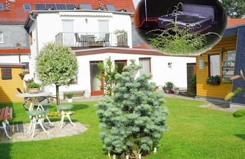 Pirna Bed & Breakfast | Apartment, living/bedroom - Pension Nr. 13
