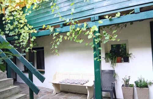 Sankt Veit an der Glan Apartment | Apartment mit 1 Schlafzimmer in Altstadthaus