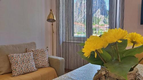 Borak Apartment | Apartment Mandic