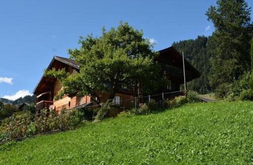 Saanen Apartment | Apartment Meielblick by Interhome