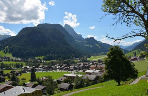 Saanen Apartment | Apartment Meielblick by Interhome
