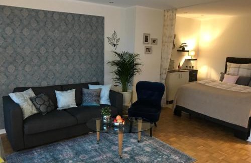 Sankt Augustin Apartment | Apartment mit Sonnenbalkon und NETFLIX im Zentrum