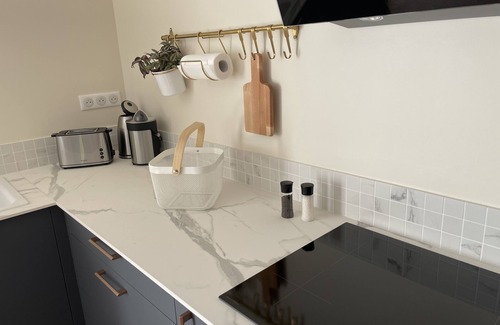 Wacquinghen Apartment | Apartment-Modern-Ensuite with Shower-Terrace-Le raffiné - RDC