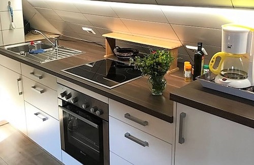 Hornberg Apartment | Apartment 'Naturhäusle, 45sqm' with Mountain View, Balcony and Wi-Fi