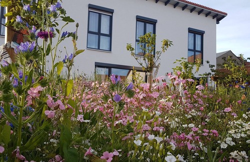 Bad Urach Apartment | Apartment 'No. 3' with Shared Terrace, Shared Garden and Wi-Fi
