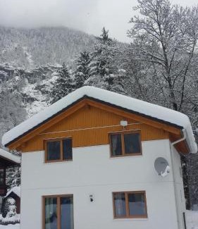Obertraun Apartment | Apartment Obertraun