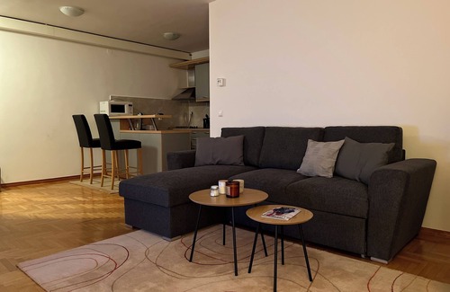 Old Town Apartment | Apartment of Fine Arts!