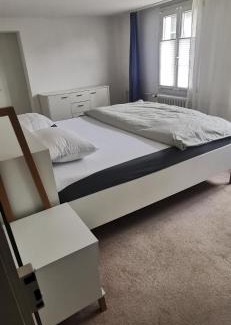 Meilen District Apartment | Apartment on 2 floors