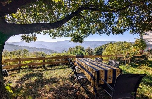 Fresse-sur-Moselle Apartment | Apartment on Vosges farm with terrace, fireplace and wifi