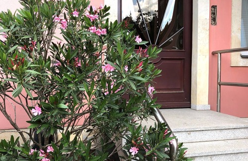 Laubegast Apartment | Apartment on the Elbe Ferry - Apartment for 2 - 3 People