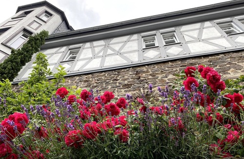 Hoehr-Grenzhausen Apartment | Apartment Orchidee - Living room/bedroom - Apartments in the Château d'Esprit