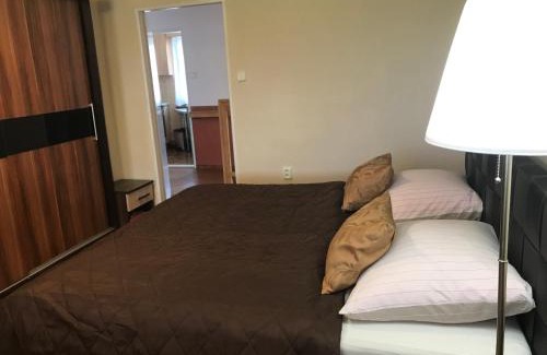 Frydlant nad Ostravici Apartment | Apartment pod Lysou