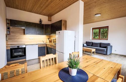 Nova Ves nad Nisou Apartment | Apartment Pod Černou Studnicí-1 by Interhome