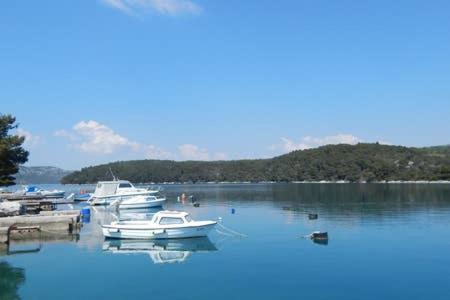 Viskovici Apartment | Apartment Quiet Getaway
