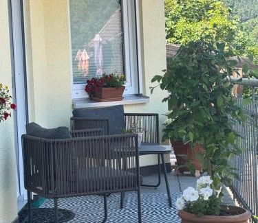 Hornberg Apartment | Apartment Schwanenbach
