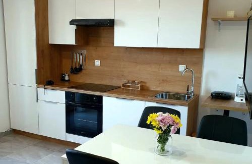 Municipality of Posedarje Apartment | Apartment Sidro