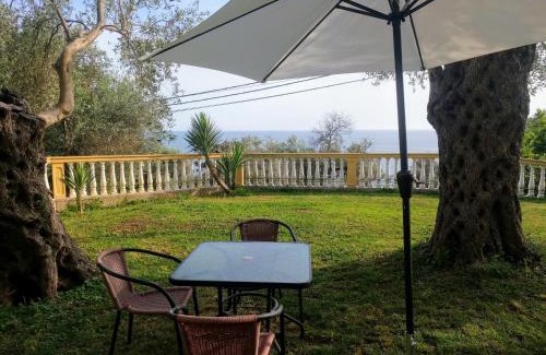 Ulcinj Apartment | Apartment Spuza