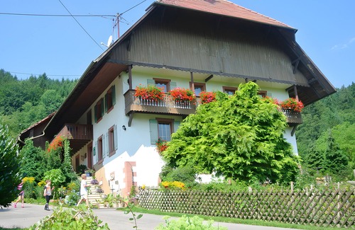 Seelbach Apartment | Apartment 'Talblick, 90qm' with Mountain View, Shared Garden and Wi-Fi