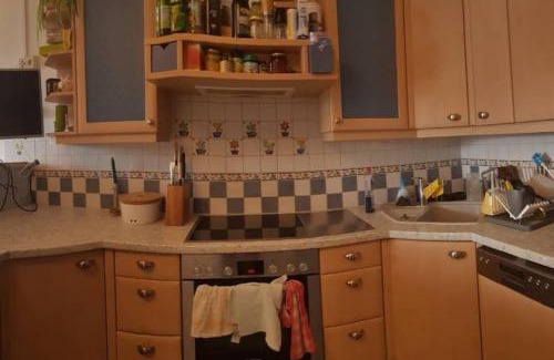 Schildlehen Apartment | Apartment Tauernblick