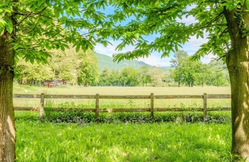 Carlazzo Apartment | Apartment Tre Laghi by Interhome