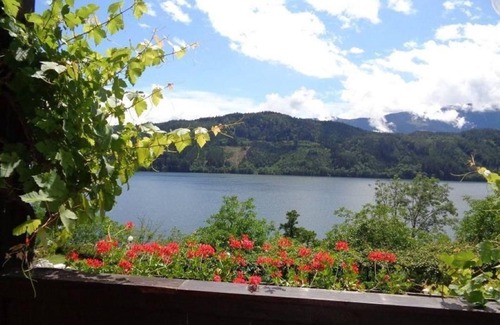 Millstatt Bed & Breakfast | Apartment type IIa - Pension Sedlak and Golfappartements